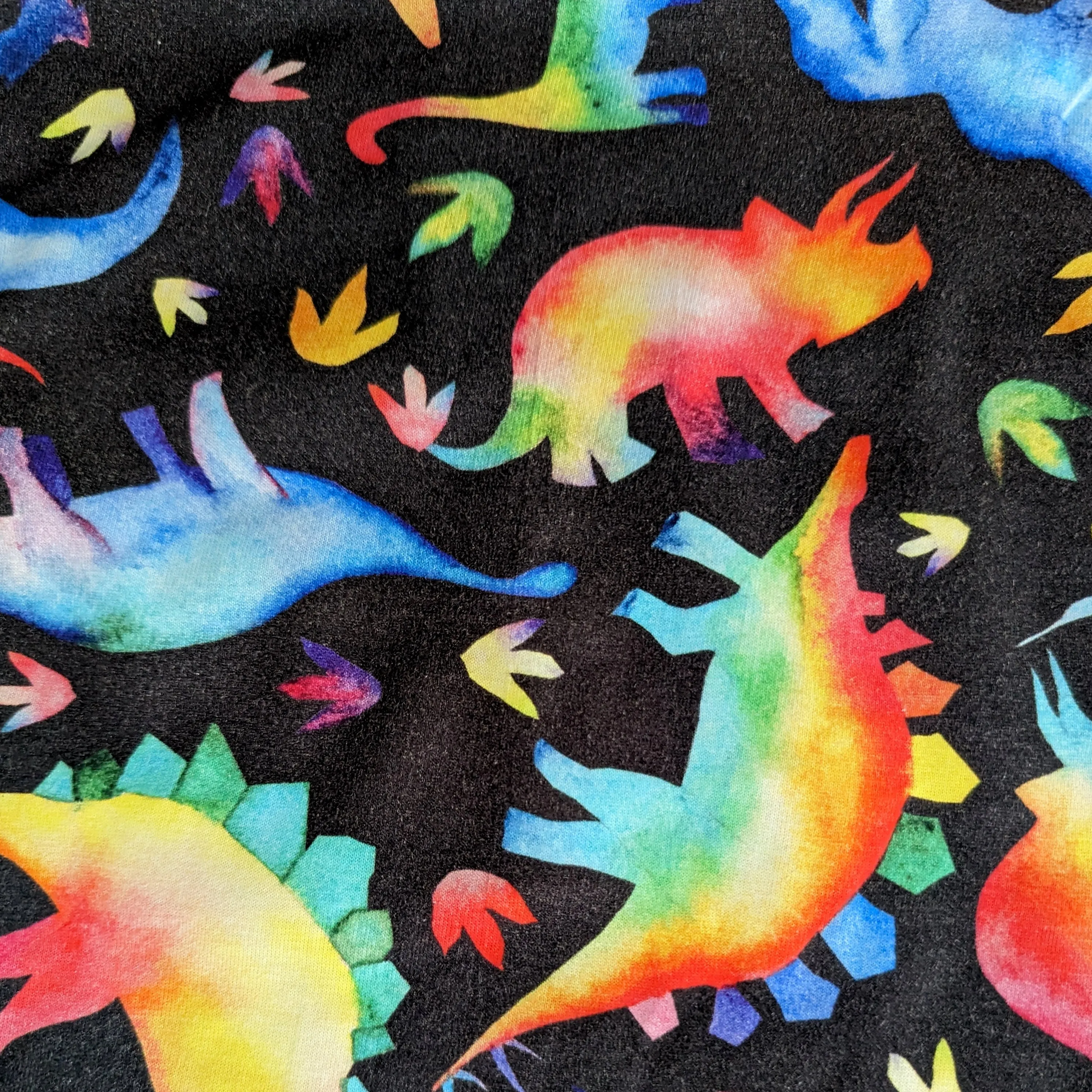 Rainbowsaurus Split Neck Tunic Top [FINAL SALE]
